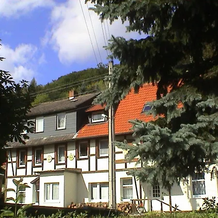 Apartment Mit Wellnessoase Im Luftkurort *