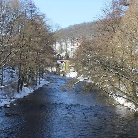 Mit Wellnessoase In Ot Altenbrak *